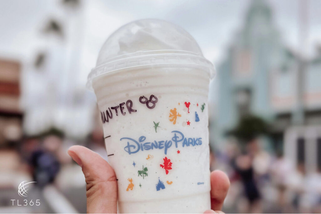 Why Booking a VIP Tour Guide at Disney Is Worth Every Penny 