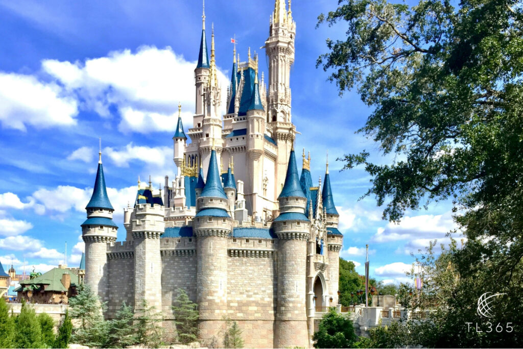 Why Booking a VIP Tour Guide at Disney Is Worth Every Penny 