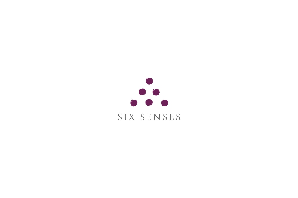 SixSenses-TL365-Preferred-Partner
