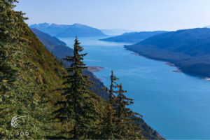 Enhance Your Escape with Regent Seven Seas Cruises