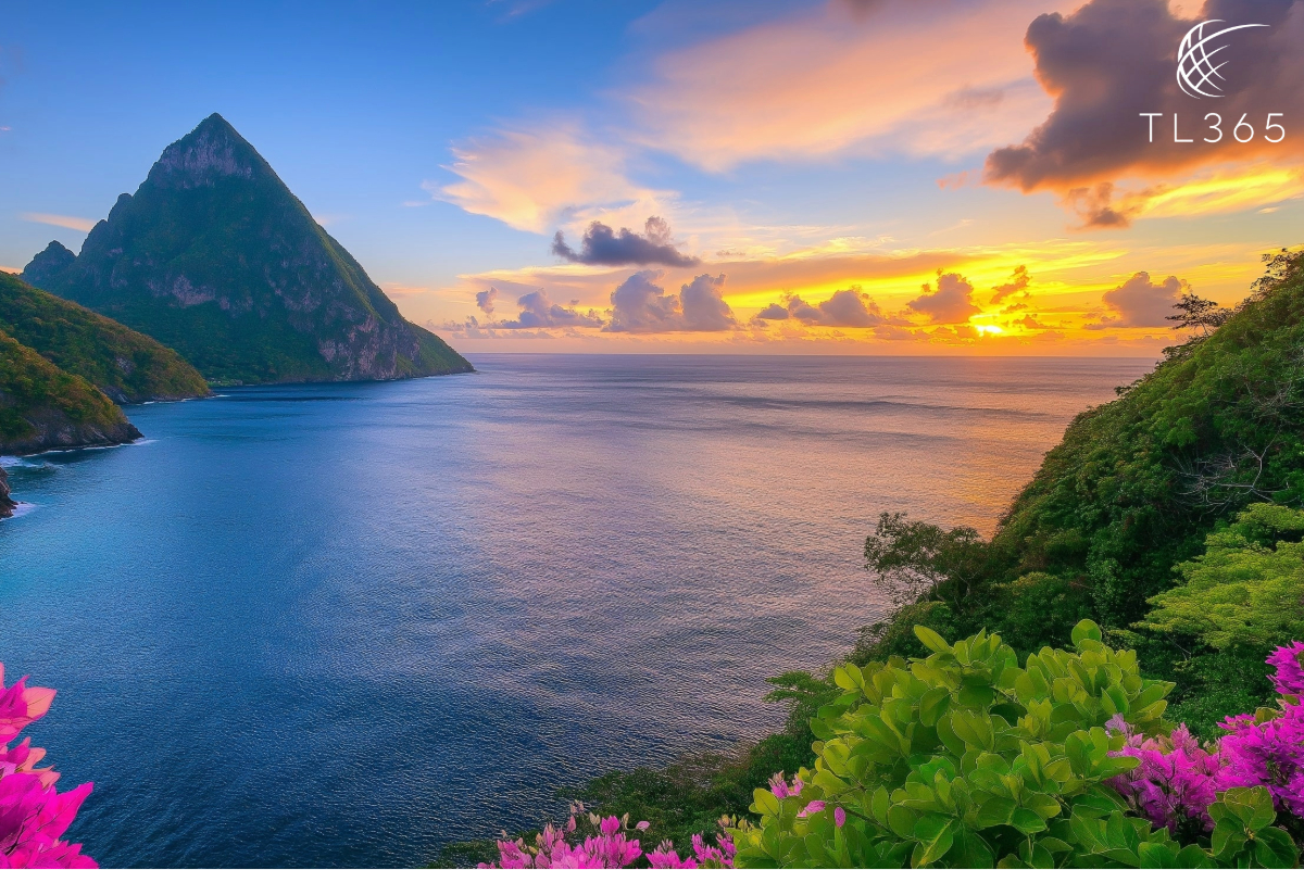 Exclusive Travel Deals