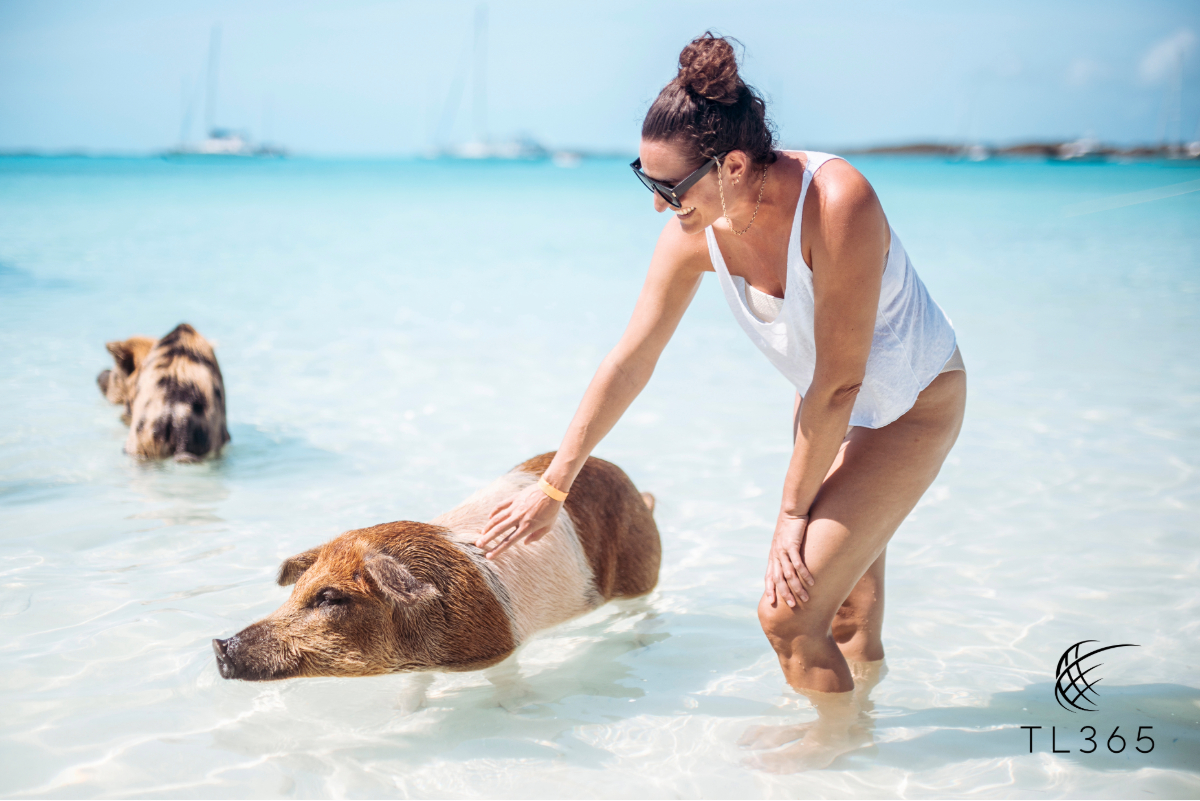 Exclusive Travel Deals